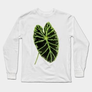 Colocasia esculenta 'Illustris' - Botanical Illustration Long Sleeve T-Shirt